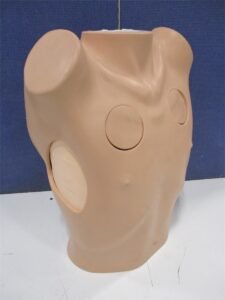 Limbs & Things Chest Drain & Decompression Trainer 60230