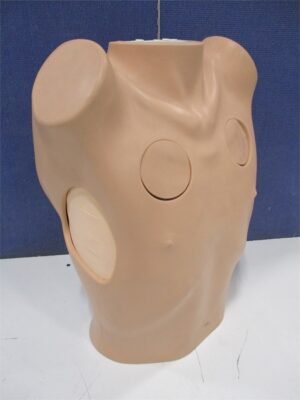 Limbs & Things Chest Drain & Decompression Trainer 60230